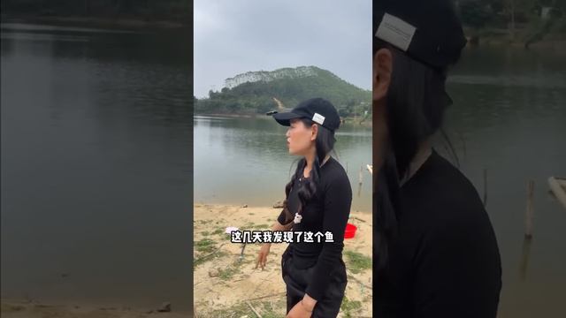 美女荒野垂钓遇上巨物，这条大青不按套路出牌，鱼卖的好像哪里不对劲？【女钓友微微】 смотреть онлайн