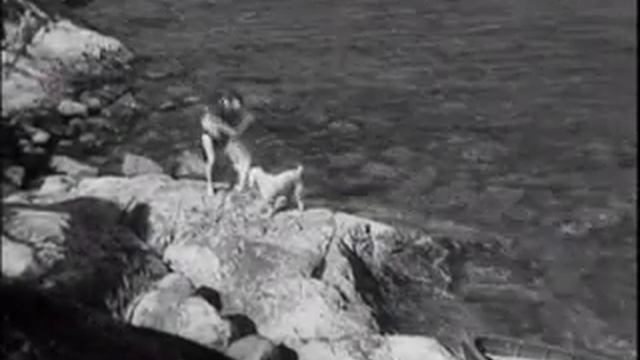 Summer Interlude смотреть онлайн