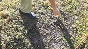 BOSCH AVR 1100 Скарификатор / Вертикулятор. Тестирую модель 2018 года