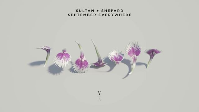 Sultan&Shepard - September Everywhere