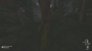 How to Get Dry Leaves in Green Hell