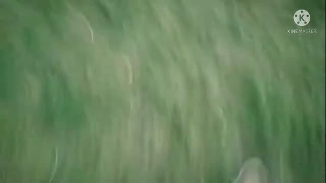 Теггинг #2 #теггинг #теги смотреть онлайн