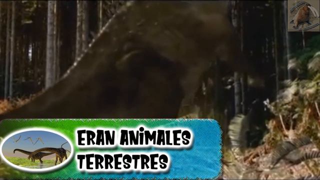 diplodocus: el dinosaurio de cuello largo (Animales Prehistóricos) смотреть онлайн