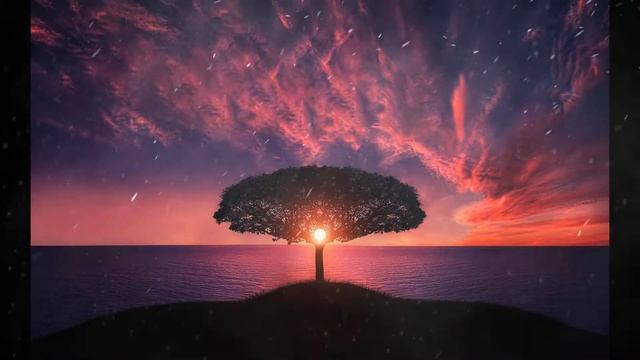 Meditation relaxing spa music # смотреть онлайн