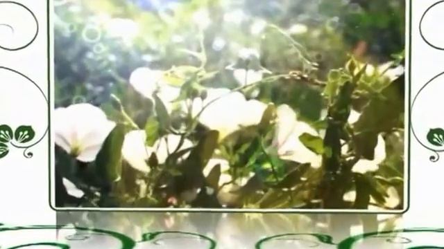 День города Старый Оскол 2010 год смотреть онлайн