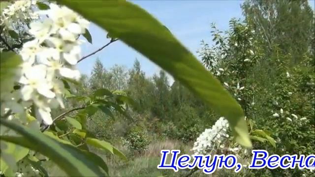 Целую,Весна смотреть онлайн