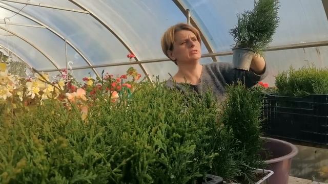 Смотрите, что по случаю купила