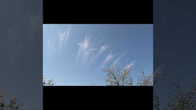 НИЧЕГО НЕ ПРОХОДИТ БЕССЛЕДНО. смотреть онлайн