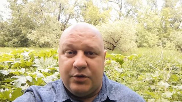 Товарищеские Матчи.Сборные/Бельгия-Греция/Украина-Северная Ирландия смотреть онлайн