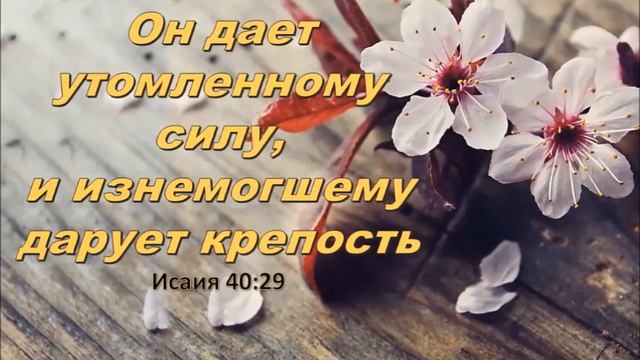 школа библии 14 02 24 смотреть онлайн