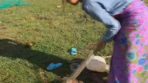 Удивительные Красивая девушка поймать лягушки воды | Как поймать лягушки воды в Камбодже