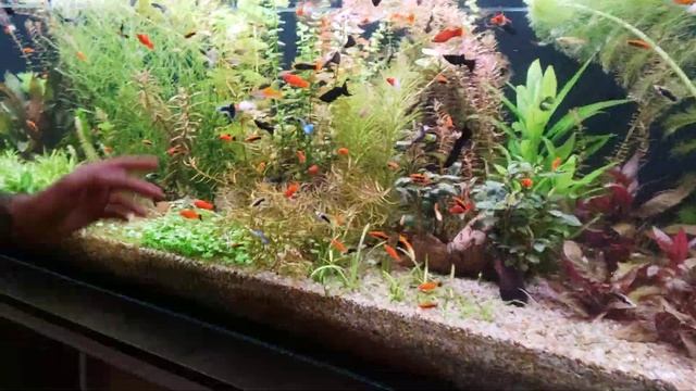 Трехметровый может остаться без нормальных подмен! смотреть онлайн