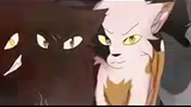 Коты воители "где нас нет " смотреть онлайн
