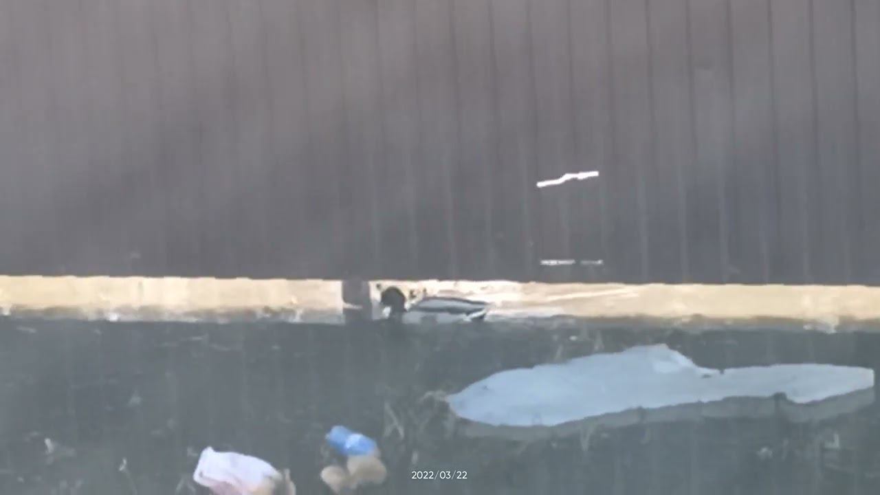 Три уточки. очередная часть смотреть онлайн