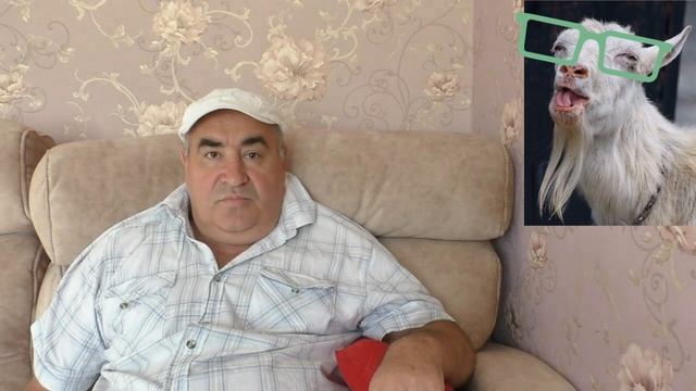 Залупник. Загон тупого козла в стойло смотреть онлайн