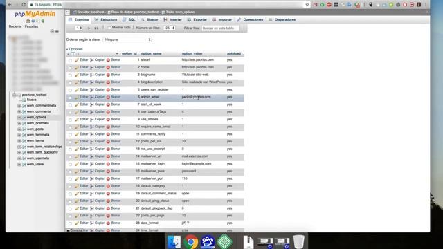Base de datos WordPress: Parte 6. Tabla de opciones смотреть онлайн