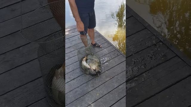 Рыбалка Севастополь смотреть онлайн