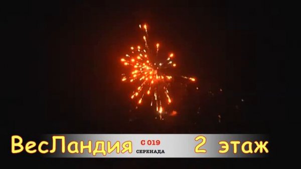 С019 Серенада салют SLK