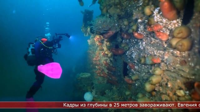 04.10.2023 Солнечное утро