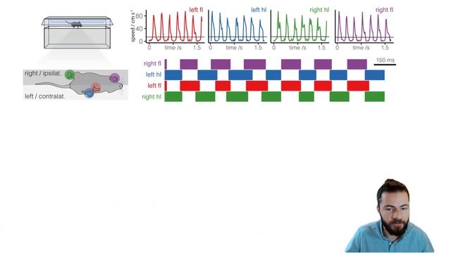 Ruslan Rust - Deep learning based behavioral profiling of rodent stroke recovery смотреть онлайн