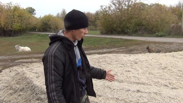 24 тонны корма за 17т.р, жом свекловичный и сокращение хозяйства смотреть онлайн