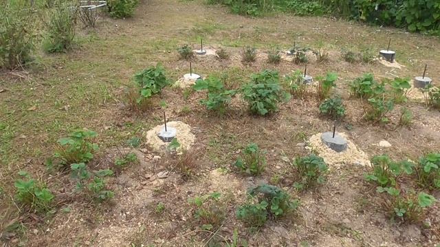 Фундамент каркасной бани 2 смотреть онлайн