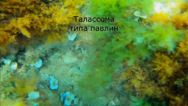 Почему и Зачем не надо ехать на отдых в Испанию? смотреть онлайн