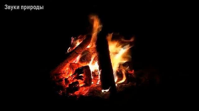 Костёр с громом, ветром и дождём (90 минут). Звуки природы смотреть онлайн
