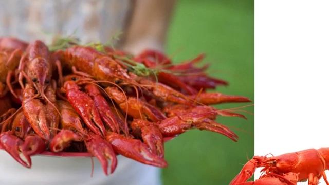 РАКИ В КРАСНОЯРСКЕ. ДОСТАВКА ТЕЛ 203-62-62 смотреть онлайн