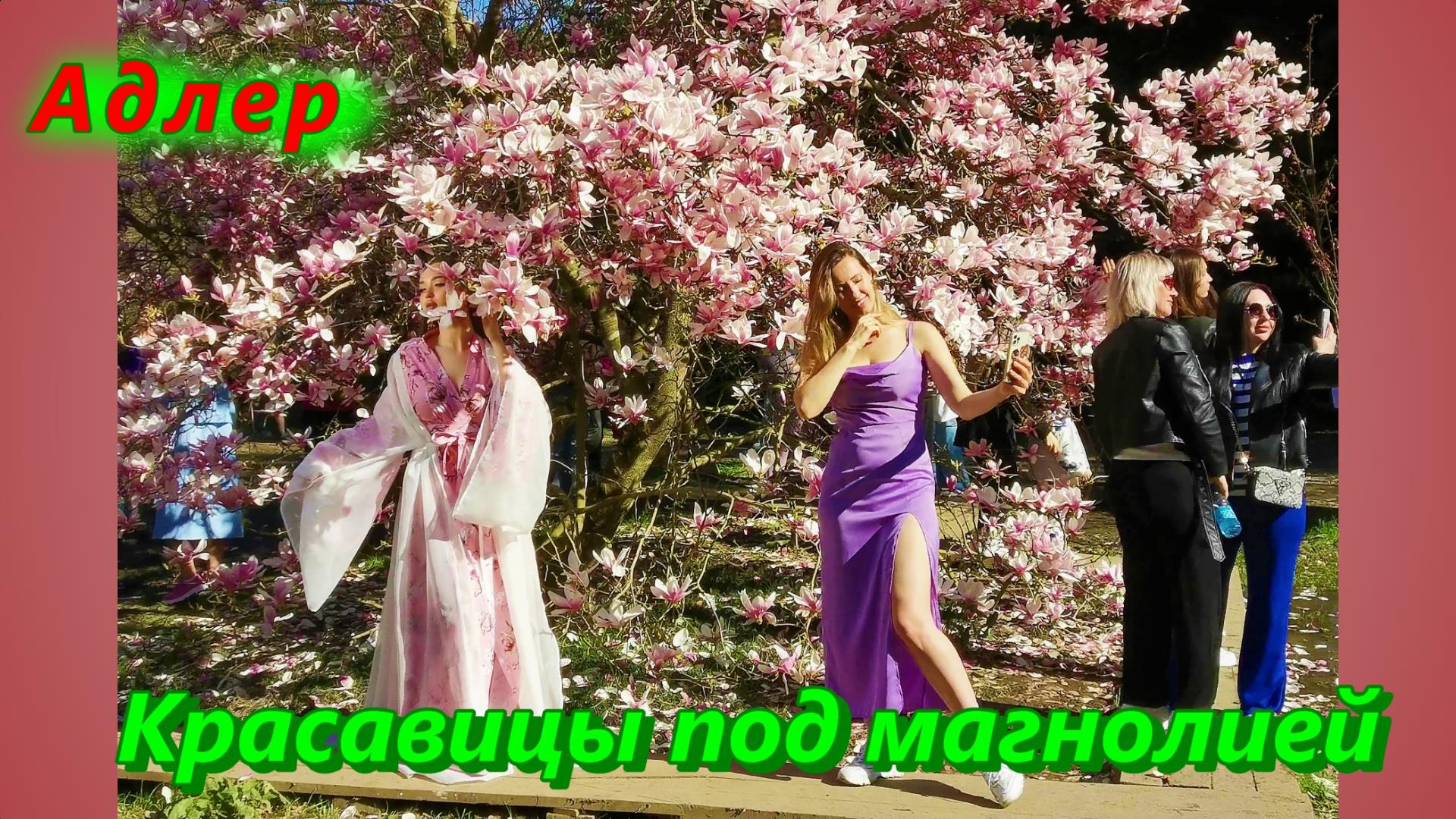 Адлер, красавицы под магнолией в Парке Южные Культуры смотреть онлайн