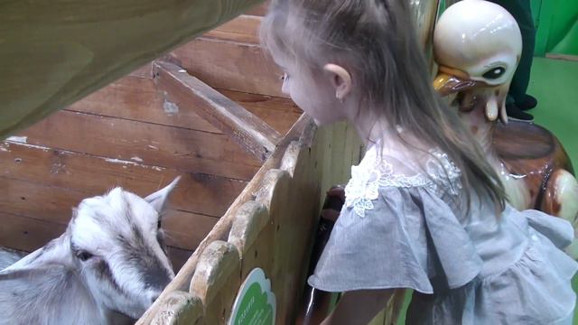 Контактный зоопарк. Кирюшка смотрит животных)/petting zoo смотреть онлайн