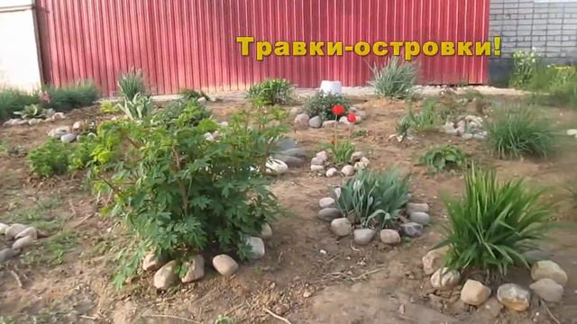 Весенняя прогулка Видеообзор Природа в красках и её жители смотреть онлайн