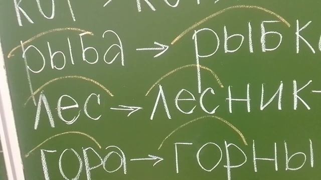 Однокоренные и родственные слова. 1класс смотреть онлайн