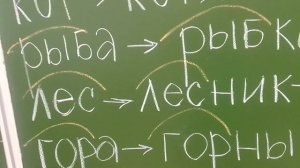 Однокоренные и родственные слова. 1класс