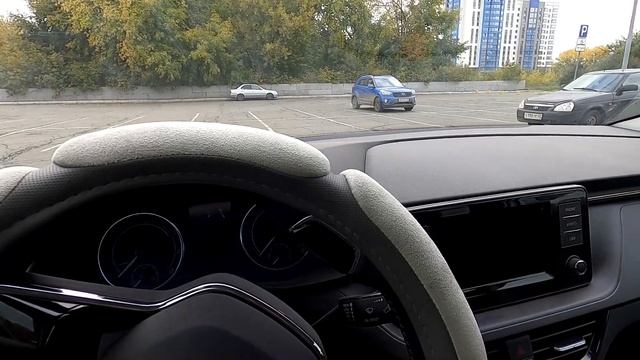 Первая неисправность моей ШКОДЫ РАПИД, или почему я не люблю дополнительные опции.