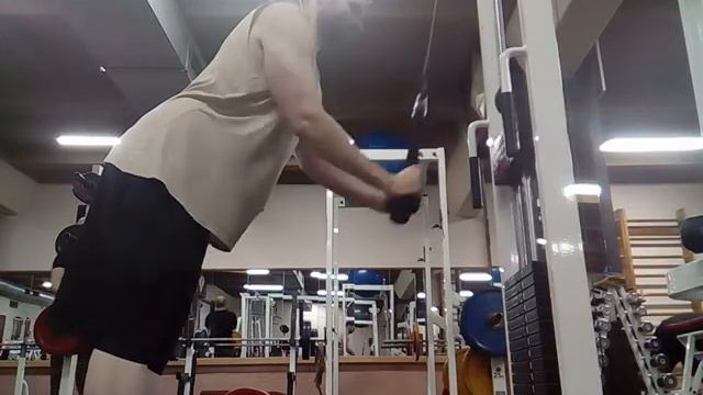 25 06 2020 трицепс на блоке канат