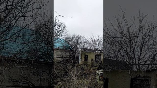 Купили заброшенный участок на юге смотреть онлайн