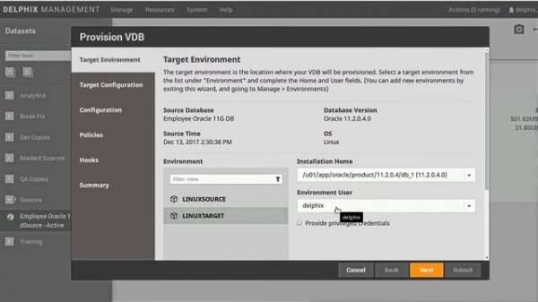 How To Create Database Copies with Delphix