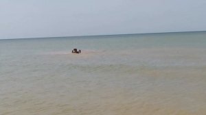 Выходные в Камышеватской ☀ Азовское море ?