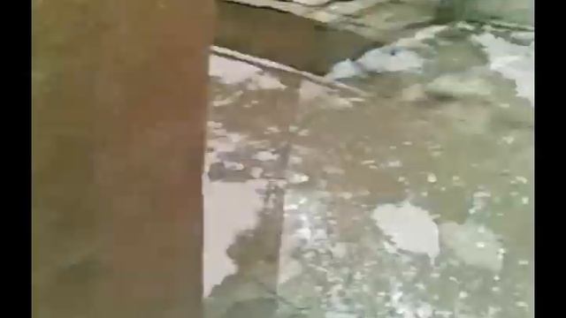 Бедалага на заборе ( Жесть ! ) смотреть онлайн
