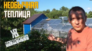 Теплица своими руками из направляющих для гипсокартона. ЖКВ Саморучка