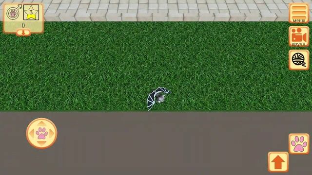 Cute pocket cat 3d part 2| Что за оградой? смотреть онлайн