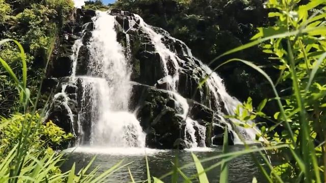 Новая Зеландия. Тихий Океан смотреть онлайн