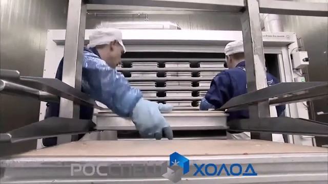 Горизонтальный скороморозильный аппарат. Шоковая заморозка от компании DSI смотреть онлайн