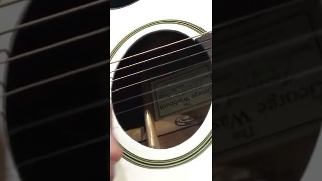 «Атаман» вступление. Кавер на песню Виктора Цоя. Washburn EA20WH 1992 год. смотреть онлайн