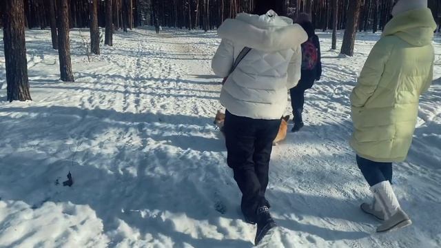 DJI OSMO MOBILE 3  Первая сьемка на gimbal DJI OM3  ТЕСТ СТАБИЛИЗАТОРА