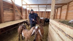 ХЛЕБА И ЗРЕЛИЩ! ДЕРЕВЕНСКИЕ БУДНИ! ДЕРЕВЕНСКИЙ ПАРЕНЬ! НАША ФЕРМА! ЖИЗНЬ В ДЕРЕВНЕ!