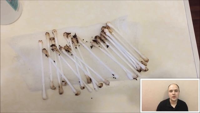 Зоопарк в Реальном Времени