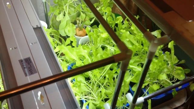 Новинка из Фикс Прайс: сборная обувница (этажерка) смотреть онлайн