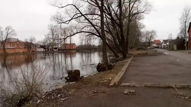 Пруд в д. Дудкино, Мосрентген, НАО. смотреть онлайн